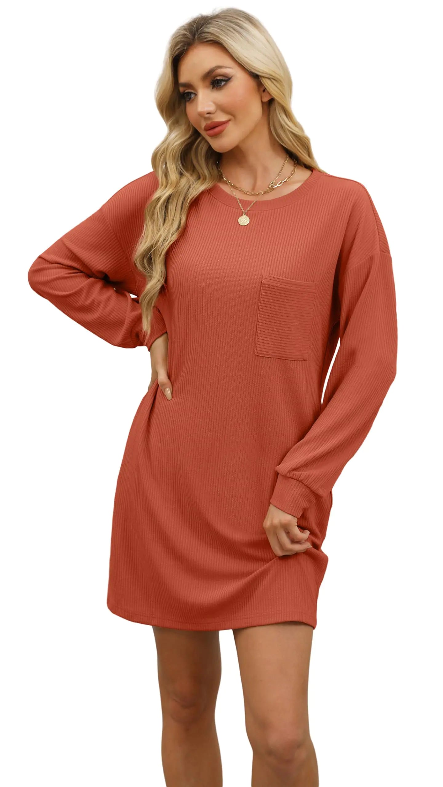 Women’s Long Sleeve Casual Mini Dress